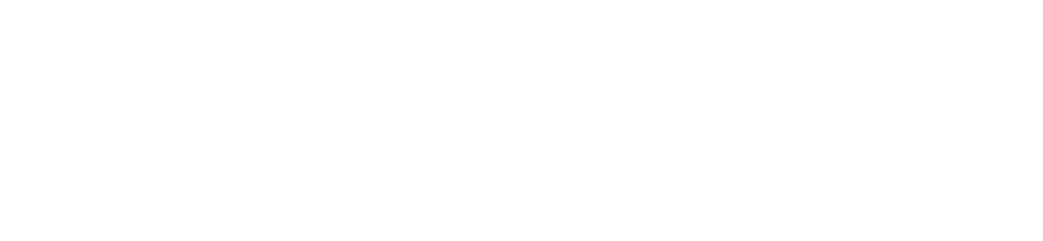 Critical Applications Services