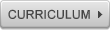 curriculum